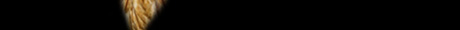 spacer01.jpg